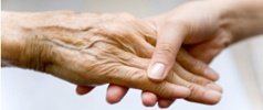 nursing_238 nursing_238